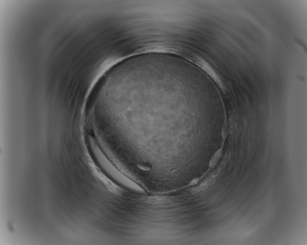 X0000096401132200801311345