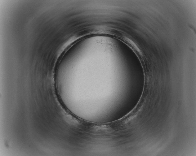 X0000096401133200801311345