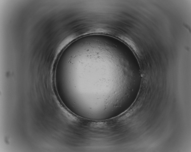 X0000096401135200801311345