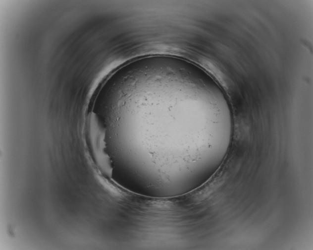 X0000096401136200801311345