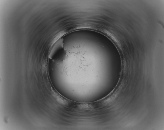 X0000096401137200801311345