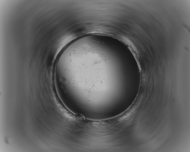 X0000096401138200801311345