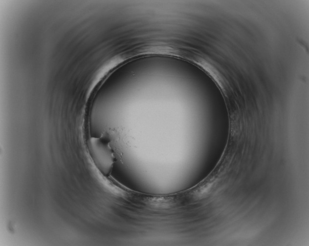 X0000096401139200801311345