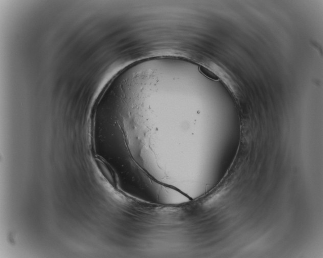 X0000096401140200801311345