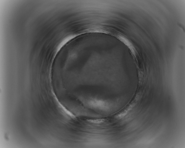 X0000096401141200801311345