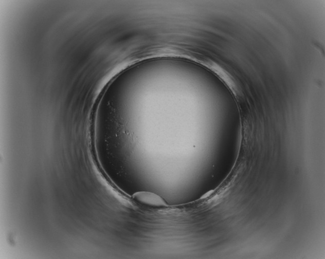 X0000096401142200801311345