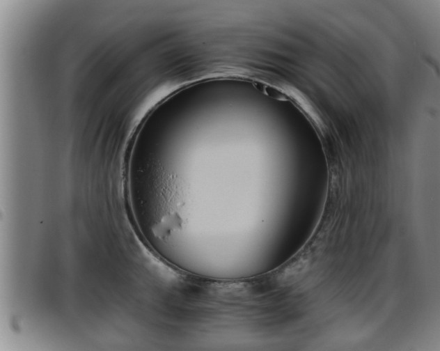 X0000096401143200801311345