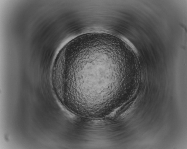 X0000096401144200801311345