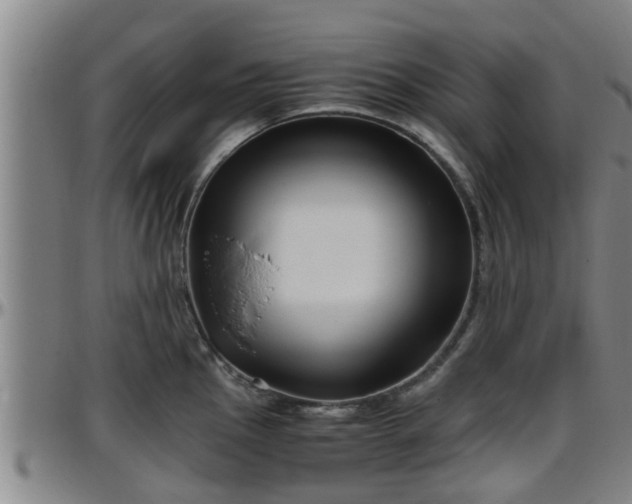 X0000096401145200801311345