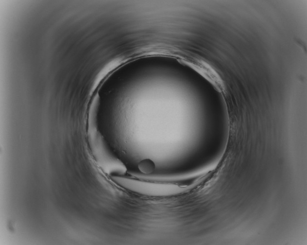 X0000096401146200801311345