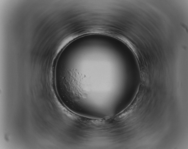 X0000096401147200801311345