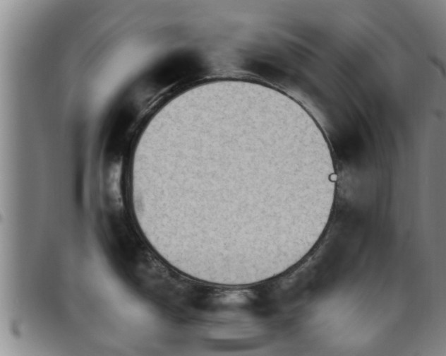 X0000096401150200801311345