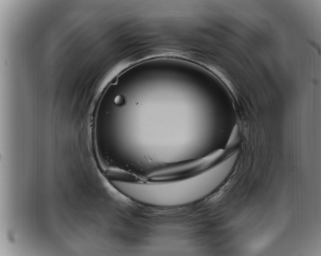 X0000096401151200801311345