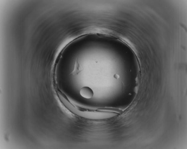 X0000096401152200801311345