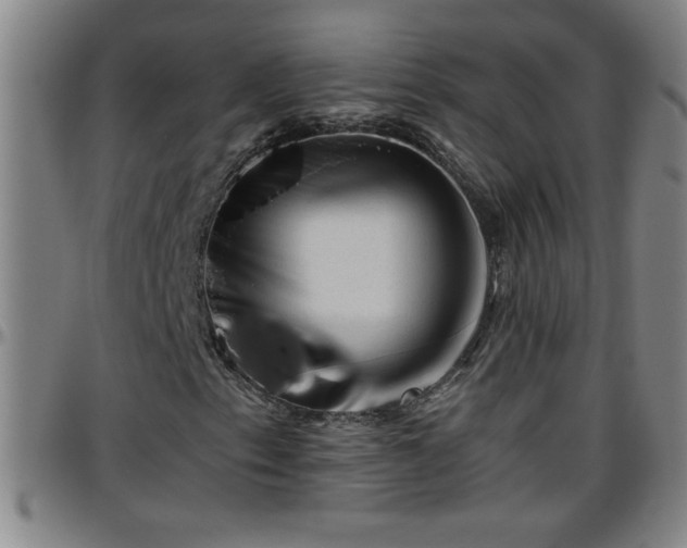 X0000096401153200801311344