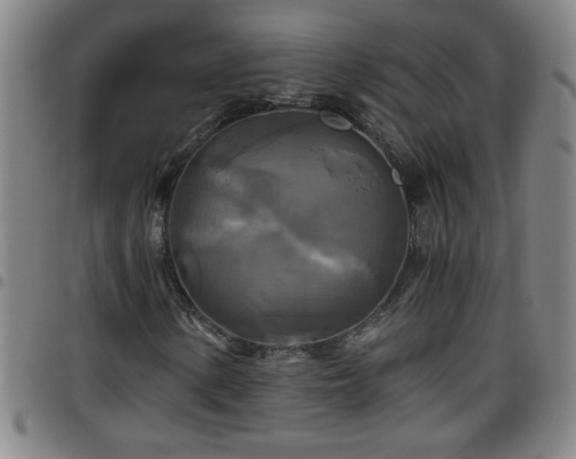 X0000096401154200801311344