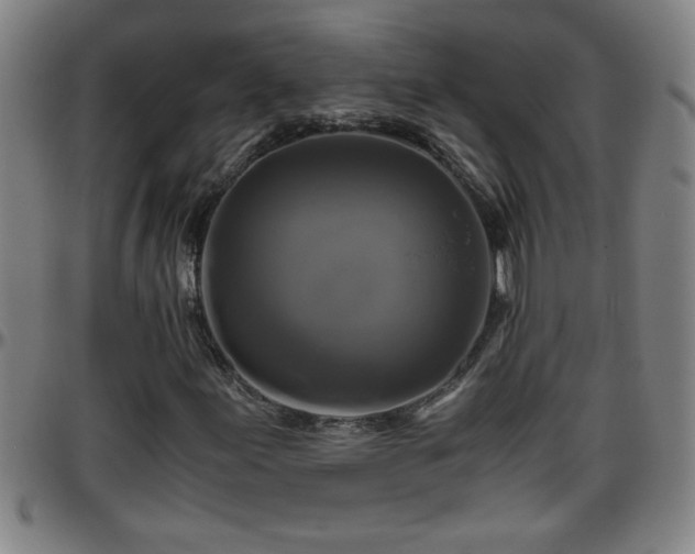 X0000096401155200801311344