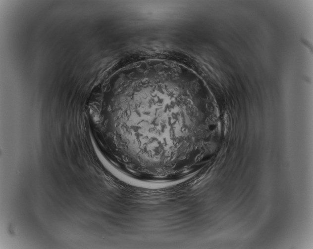X0000096401156200801311344