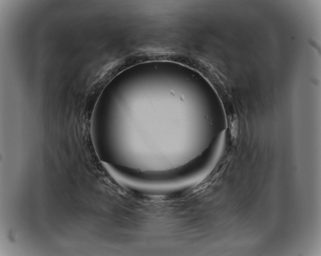 X0000096401157200801311344