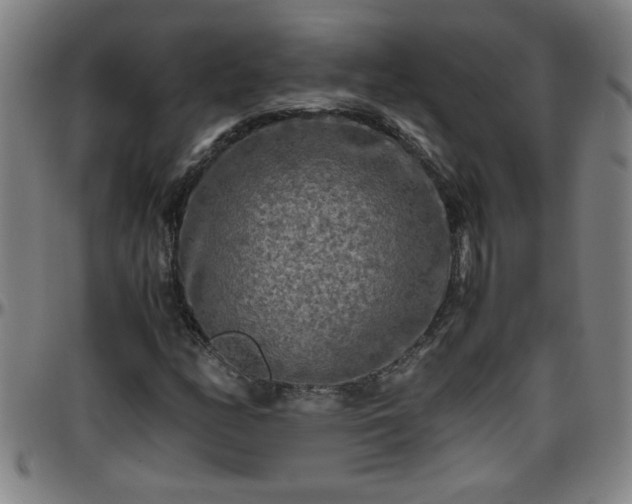 X0000096401158200801311344