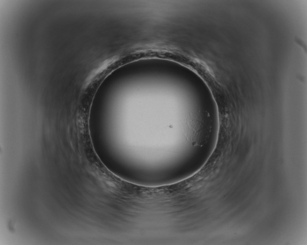 X0000096401159200801311344