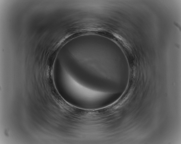 X0000096401161200801311344