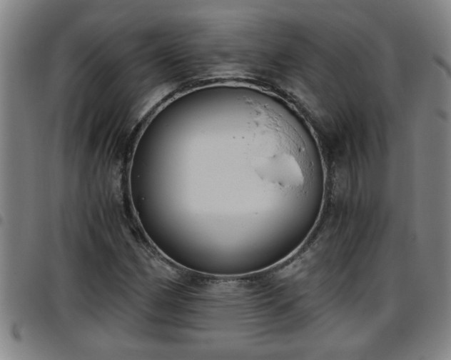 X0000096401162200801311344