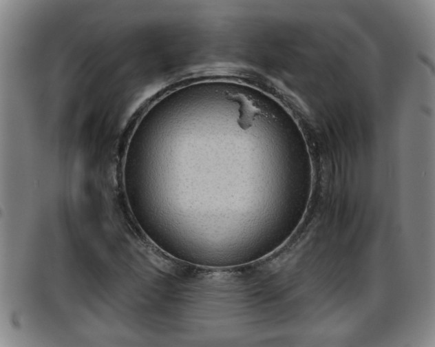 X0000096401166200801311344