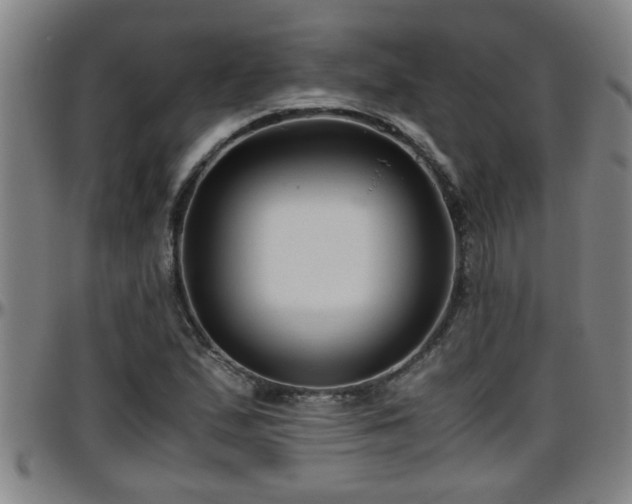 X0000096401167200801311344