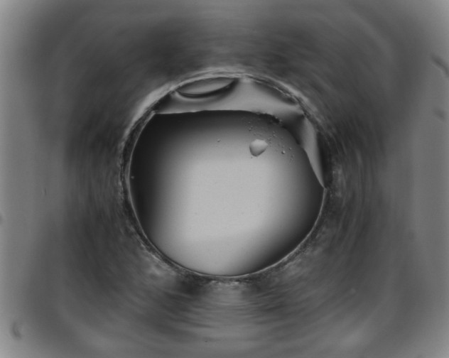 X0000096401168200801311344