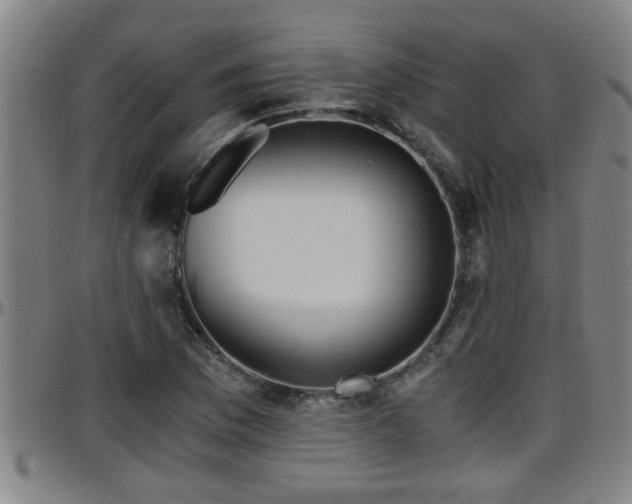 X0000096401169200801311344