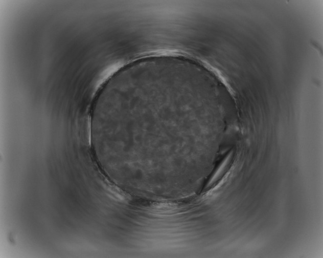 X0000096401171200801311344