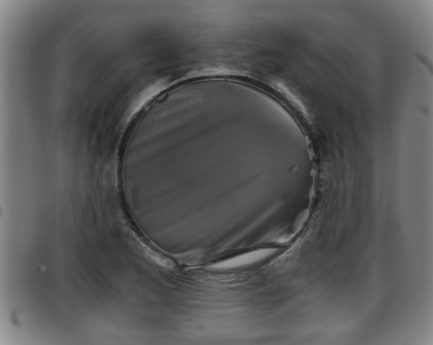 X0000096401173200801311344