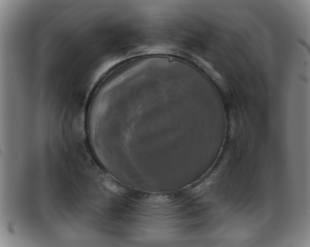 X0000096401174200801311344