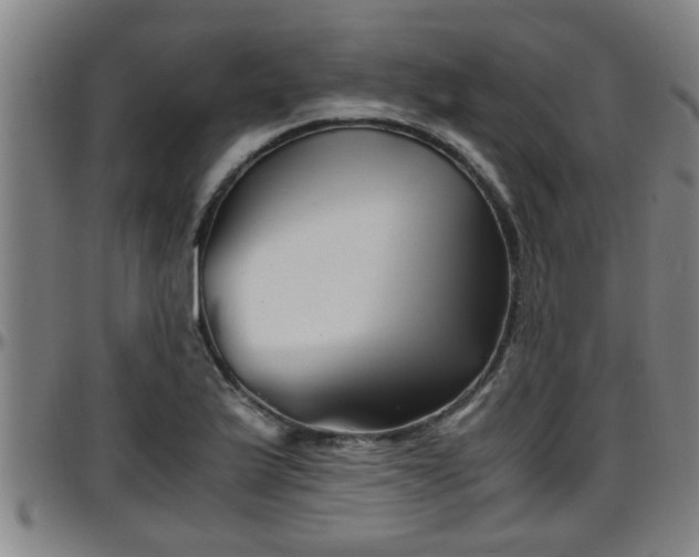 X0000096401175200801311344