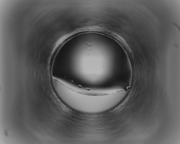 X0000096401176200801311344