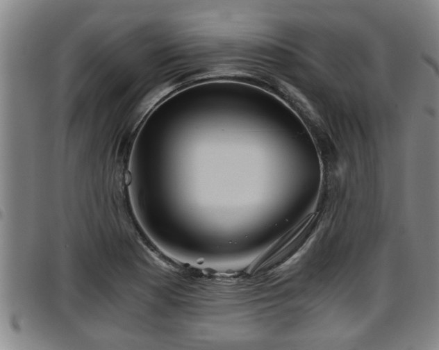 X0000096401177200801311344