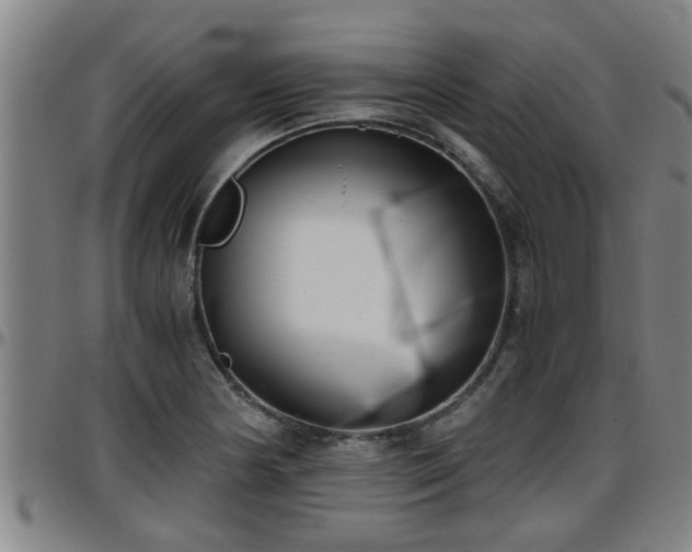 X0000096401178200801311344