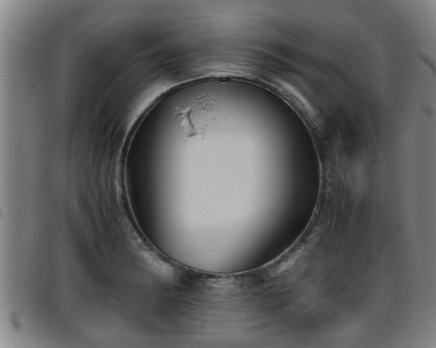 X0000096401182200801311344