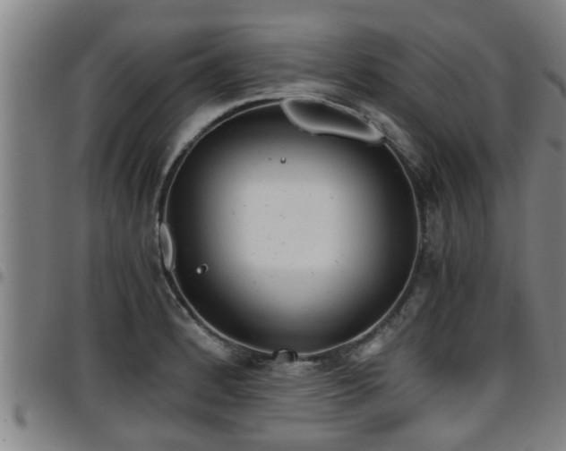 X0000096401184200801311344