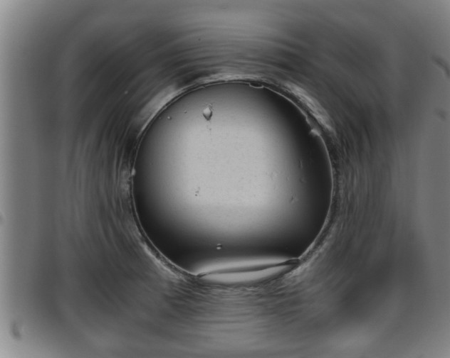 X0000096401185200801311344