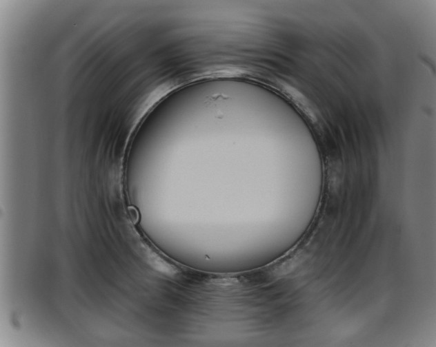 X0000096401186200801311344