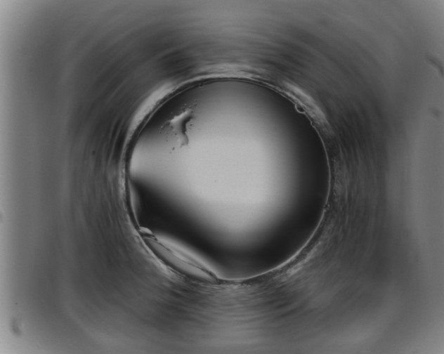 X0000096401188200801311344