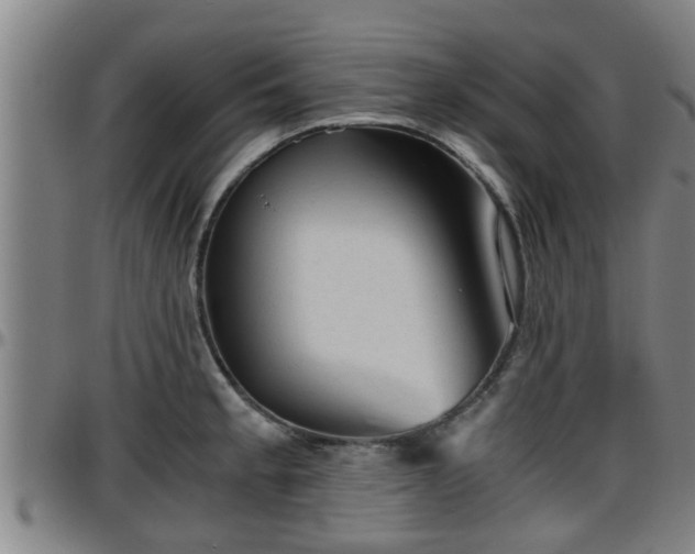 X0000096401189200801311344