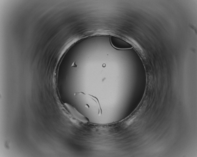 X0000096401190200801311344