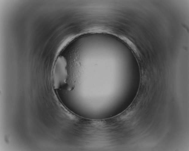 X0000096401191200801311344