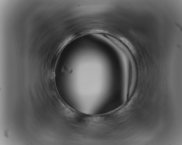 X0000096401193200801311344