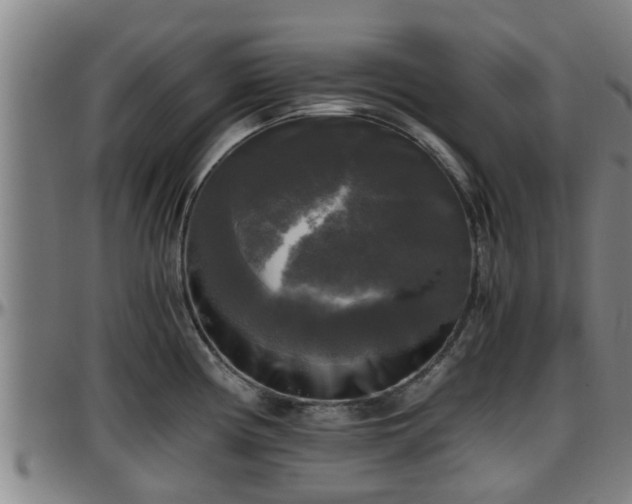 X0000096401194200801311344