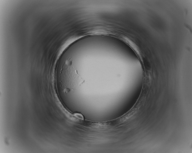 X0000096401195200801311344