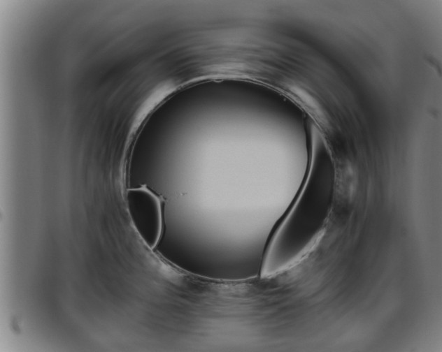 X0000096401196200801311344